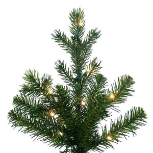 14' x 56" Eagle Fraser 3100 LED Light Slim Pre-Lit Artificial Christmas Tree 2