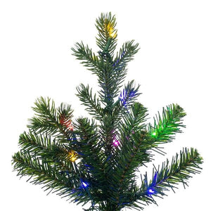 14' x 56" Eagle Fraser 3100 LED Light Slim Pre-Lit Artificial Christmas Tree 3