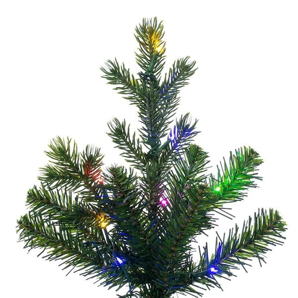 14' x 56" Eagle Fraser 3100 LED Light Slim Pre-Lit Artificial Christmas Tree 3