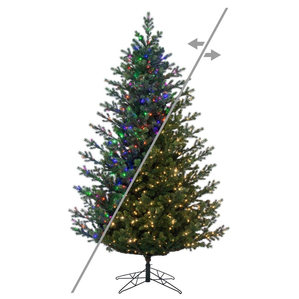 7.5' Eagle Fraser 950 LED Light Pre-Lit Artificial Christmas Tree 1
