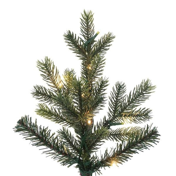 6.5' x 41"  Slim Welch Fraser 550 LED Light Pre-Lit Artificial Christmas Tree 2