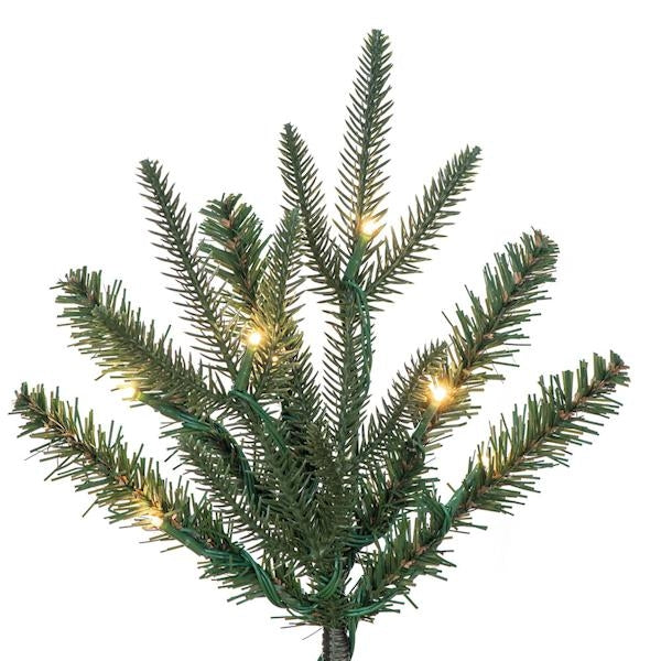 9' x 34" Tacoma Fraser 900 LED Light Pre-Lit Artificial Christmas Tree 2