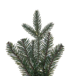 48" Colorado Fir Unlit Christmas Wreath 2