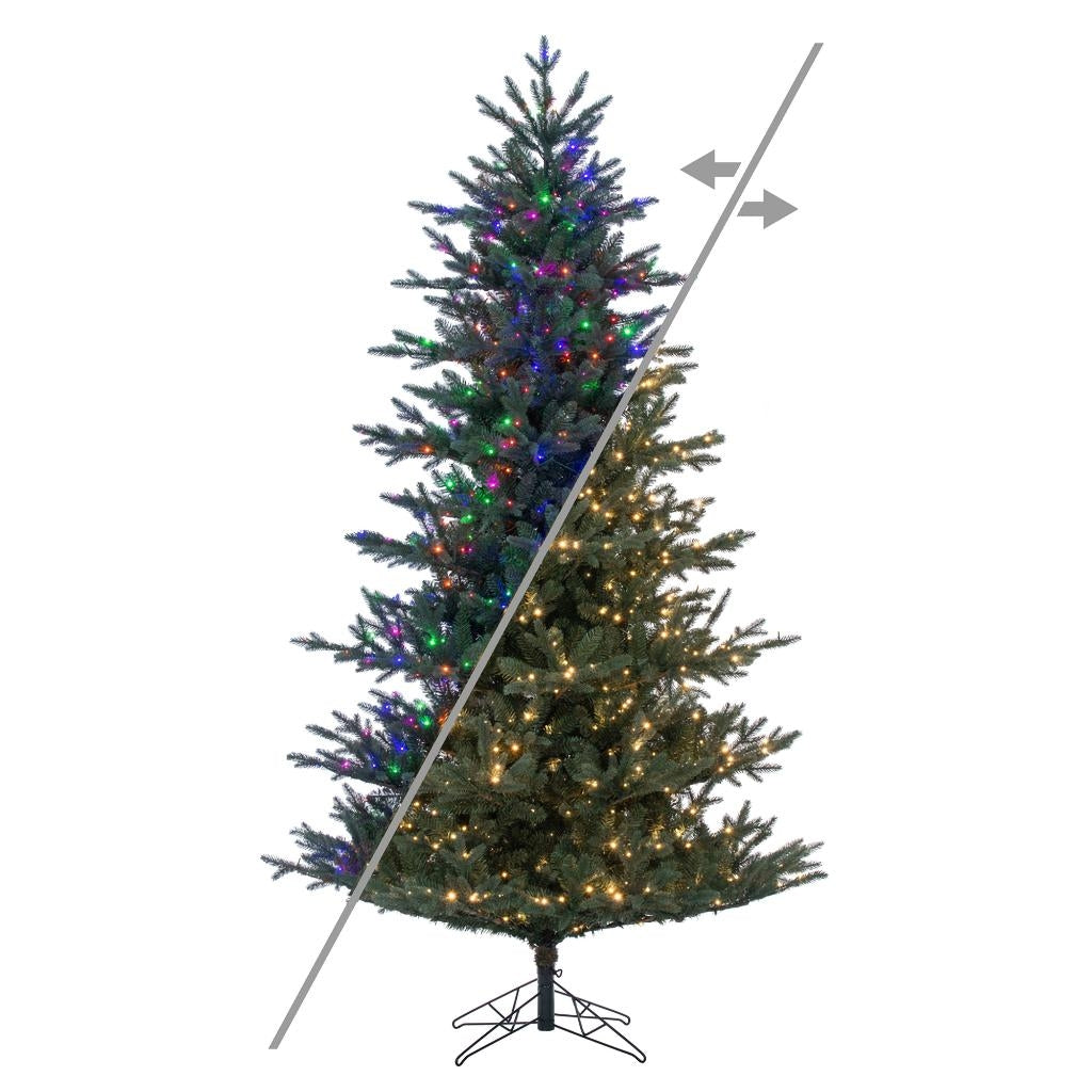 7.5' x 55" Colorado Blue Fir 850 LED Light Prelit Artificial Christmas Tree 1