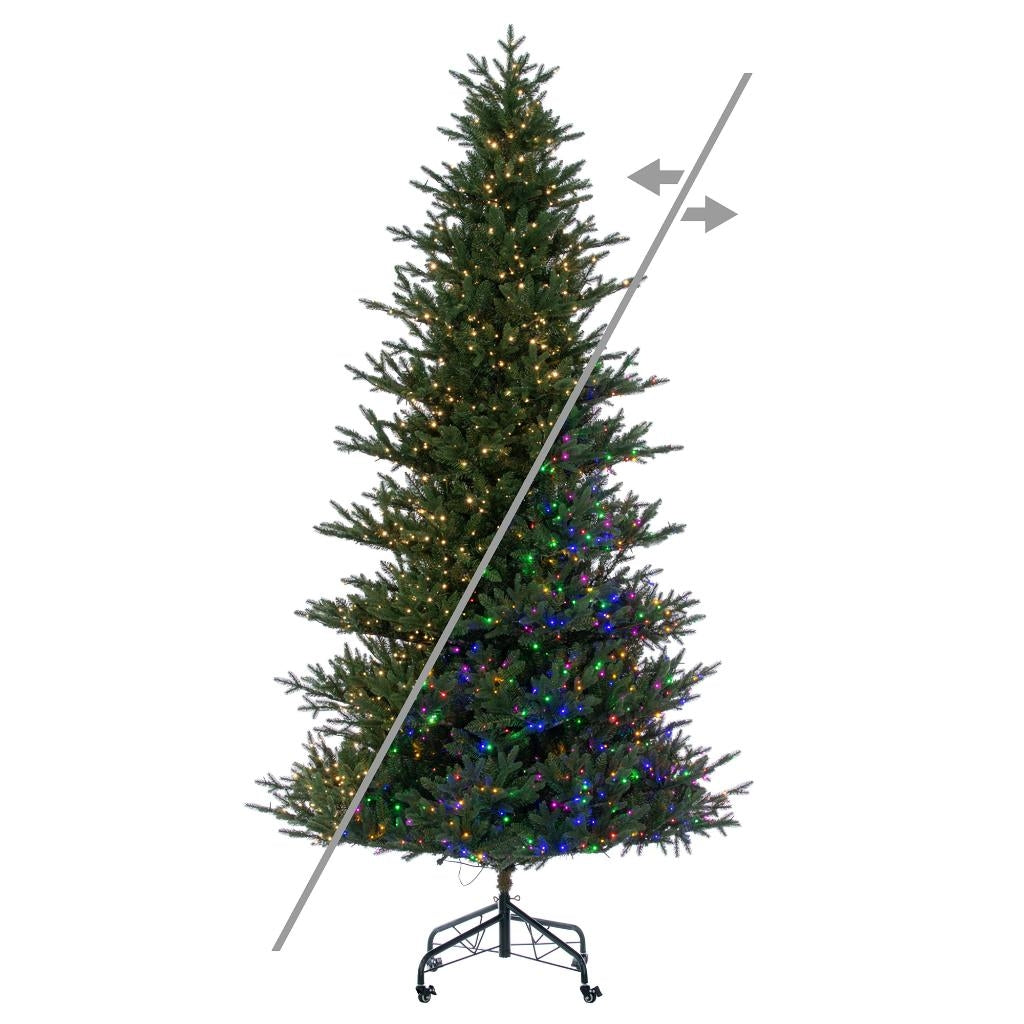 12' x 73" Colorado Blue Fir 2100 LED Light Prelit Artificial Christmas Tree 1