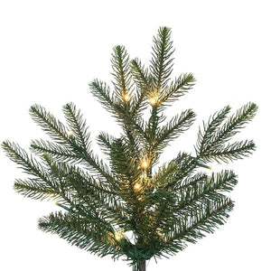 7.5' x 58" Orchard Fraser 900 LED Light Prelit Artificial Christmas Tree 2