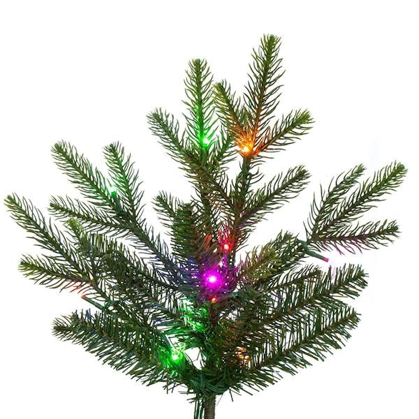 7.5' x 58" Orchard Fraser 900 LED Light Prelit Artificial Christmas Tree 3