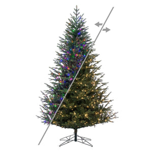 7.5' x 58" Orchard Fraser 900 LED Light Prelit Artificial Christmas Tree 1