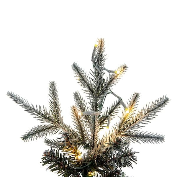 6.5' x 28" Frosted Bixley 650 LED Light Prelit Artificial Christmas Tree 2