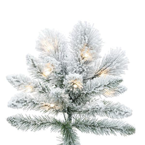 9' x 52" Frosted Scotch 750 LED Light Pre-Lit Artificial Christmas Tree 2