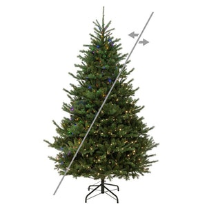 7.5' x 62" Nordmann Fir 900 LED Light Prelit Artificial Christmas Tree 1