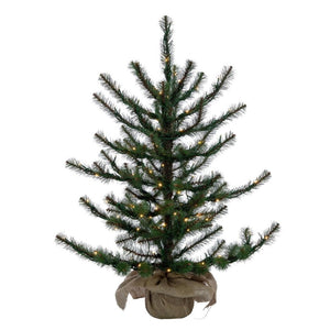 3' x 28" Tabiona Pine 100 LED Lights Pre-Lit Artificial Christmas Tree 1