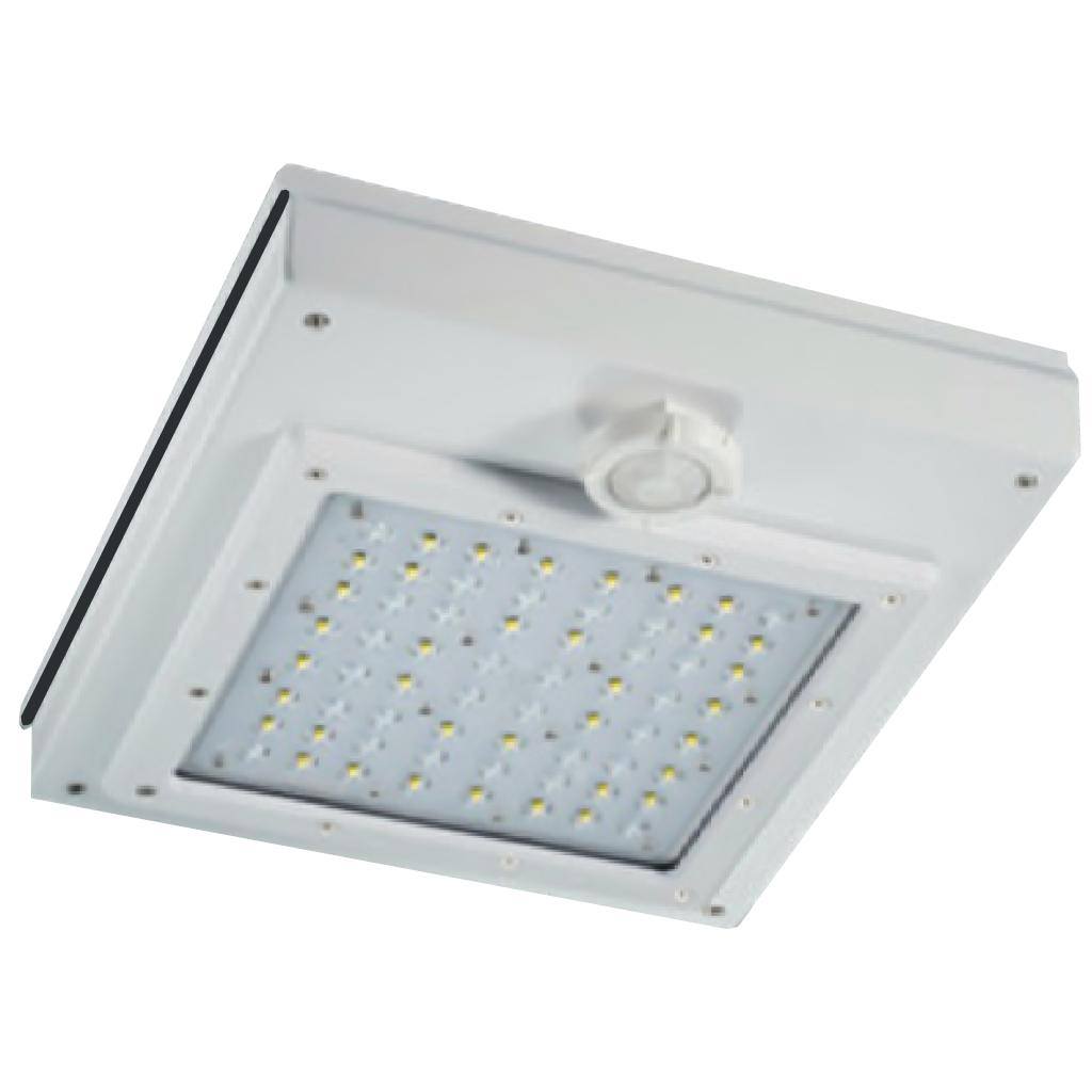 41 watt 120/277 volt 5000K Daylight LED Surface Canopy Fixture 1