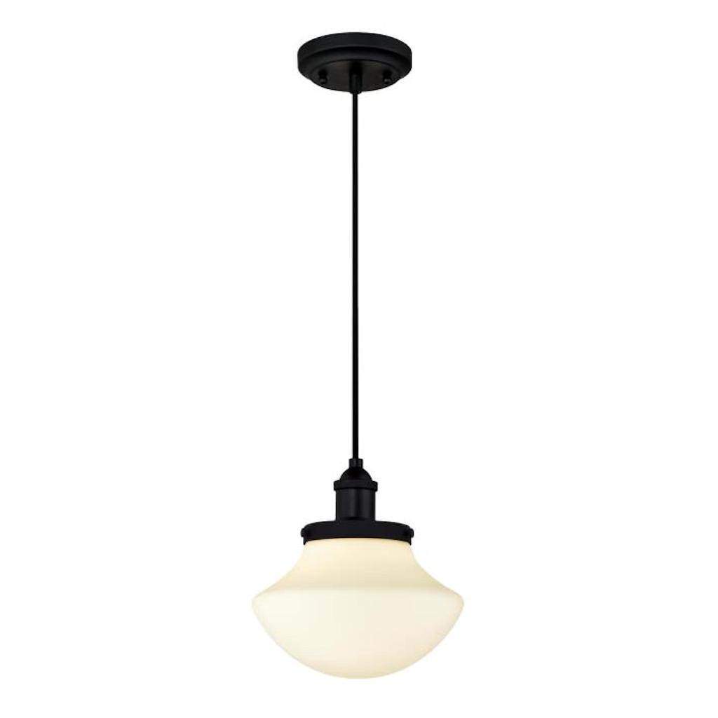 1 Light Matte Black Frosted Opal Glass Shade 1